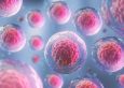 3d rendering of Human cell or Embryonic stem cell microscope background.