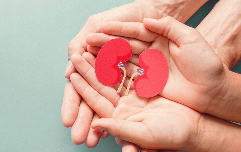 Adult and child holding kidney shaped paper on textured blue background, world kidney day, National Organ Donor Day, charity donation concept